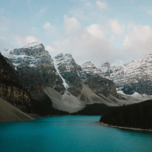 VGP Portra 400 Preset Cho Lightroom – Màu Phim Kodak Chân Thực Nhất (XMP/DNG)