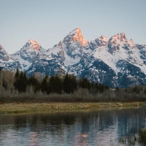 VGP Portra 400 Preset Cho Lightroom – Màu Phim Kodak Chân Thực Nhất (XMP/DNG)