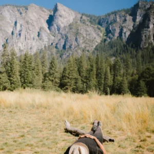 VGP Portra 400 Preset Cho Lightroom – Màu Phim Kodak Chân Thực Nhất (XMP/DNG)