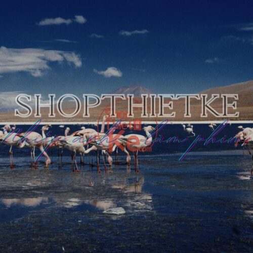 TheBrim® SUCOMO™ SPK – Bộ 25 LUT Mô Phỏng In Ấn Phim Thương Mại (Supplementary Print Kit) (CUBE)