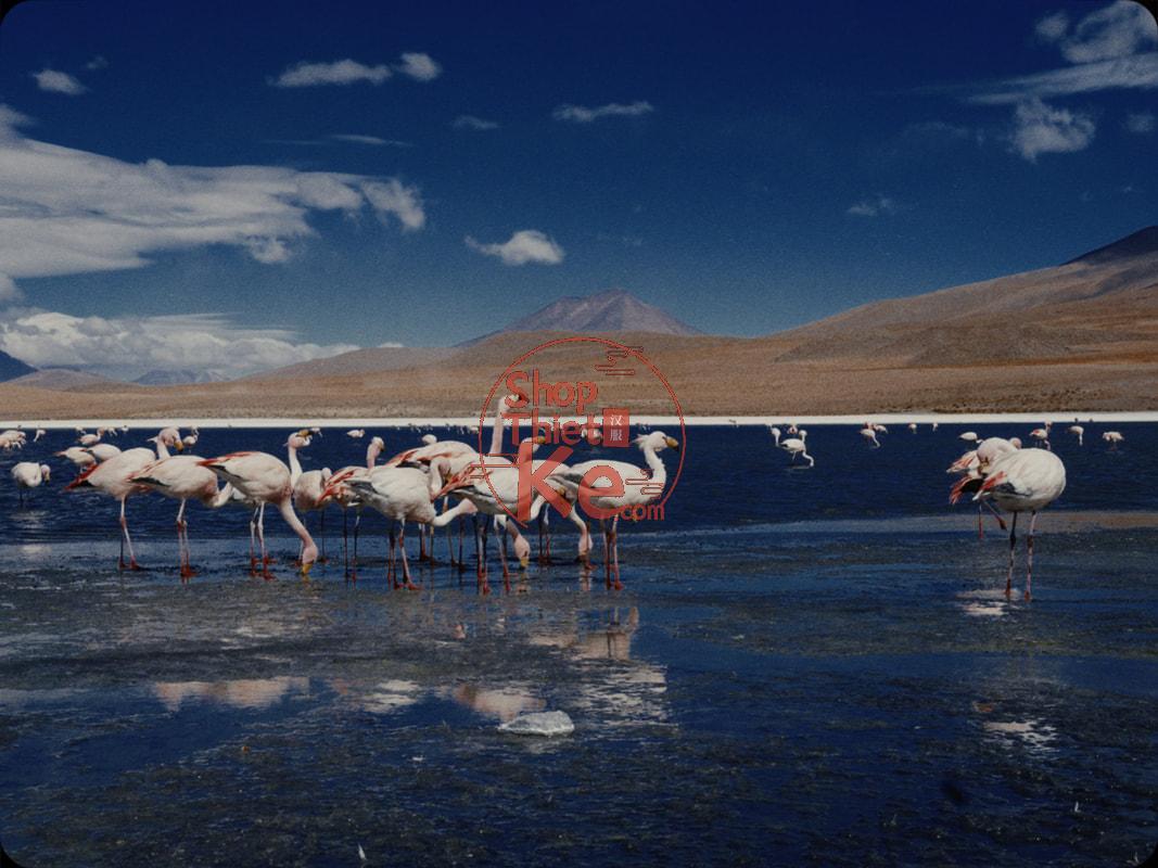 TheBrim® SUCOMO™ SPK – Bộ 25 LUT Mô Phỏng In Ấn Phim Thương Mại (Supplementary Print Kit) (CUBE) 18 shopthietke com 03044941934