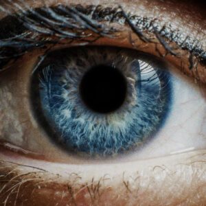 TheBrim® SUCOMO™ SPK – Bộ 25 LUT Mô Phỏng In Ấn Phim Thương Mại (Supplementary Print Kit) (CUBE) 35 shopthietke com 03044951354