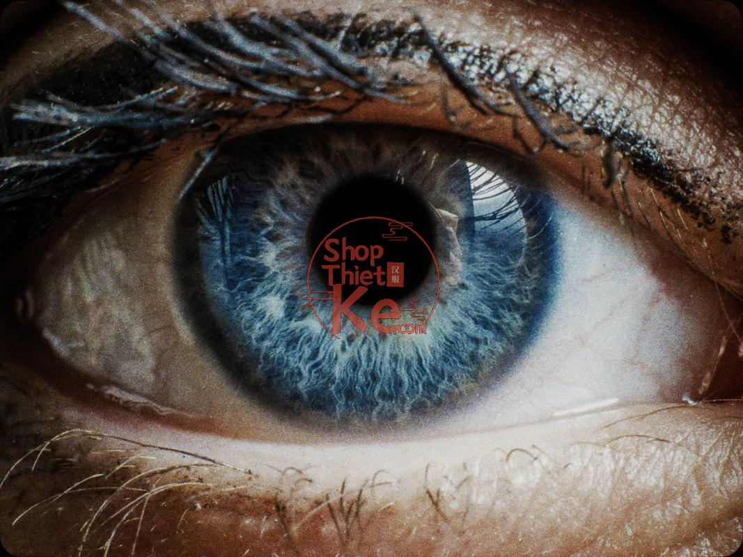 TheBrim® SUCOMO™ SPK – Bộ 25 LUT Mô Phỏng In Ấn Phim Thương Mại (Supplementary Print Kit) (CUBE) 15 shopthietke com 03044951354