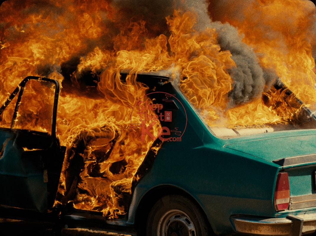 TheBrim® SUCOMO™ SPK – Bộ 25 LUT Mô Phỏng In Ấn Phim Thương Mại (Supplementary Print Kit) (CUBE) 13 shopthietke com 03044958857