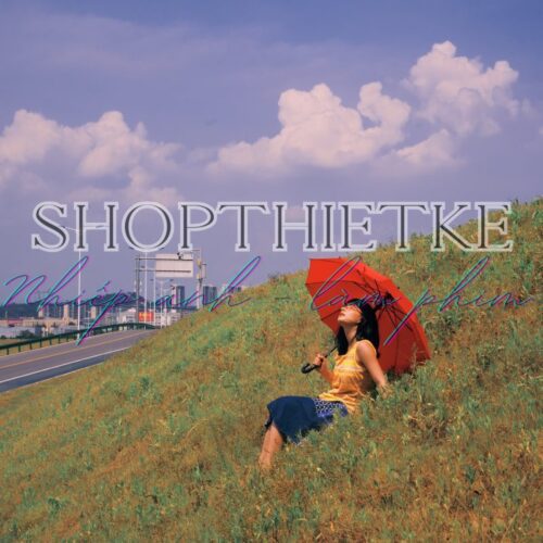 Bộ Preset Nhiếp Ảnh “Tứ Chu Bay – Full Collection” | 3 Bộ Preset Cao Cấp Phong Cách Film Cổ Điển Trung Hoa (XMP Kèm Stock)