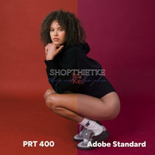 Analog Vision Studio – Bộ Profile Giả Lập Phim Cao Cấp Cho Lightroom & Photoshop (XMP)