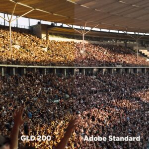 Analog Vision Studio – Bộ Profile Giả Lập Phim Cao Cấp Cho Lightroom & Photoshop (XMP) 17 shopthietke com ANALOG VISION STUDIO 3