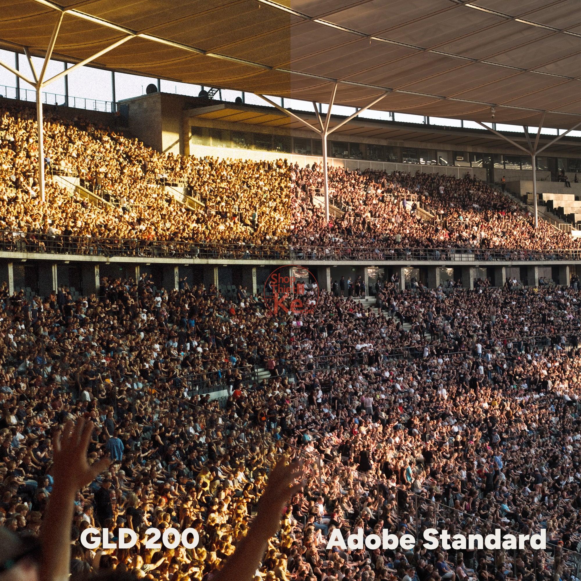 Analog Vision Studio – Bộ Profile Giả Lập Phim Cao Cấp Cho Lightroom & Photoshop (XMP) 6 shopthietke com ANALOG VISION STUDIO 3