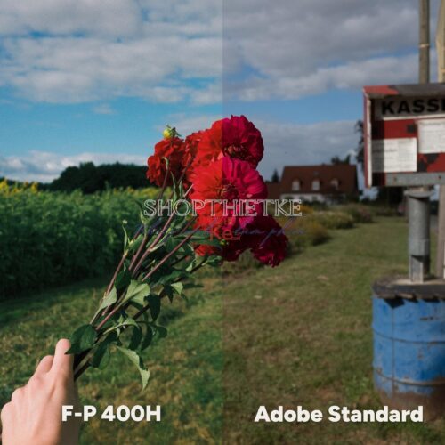 Analog Vision Studio – Bộ Profile Giả Lập Phim Cao Cấp Cho Lightroom & Photoshop (XMP)