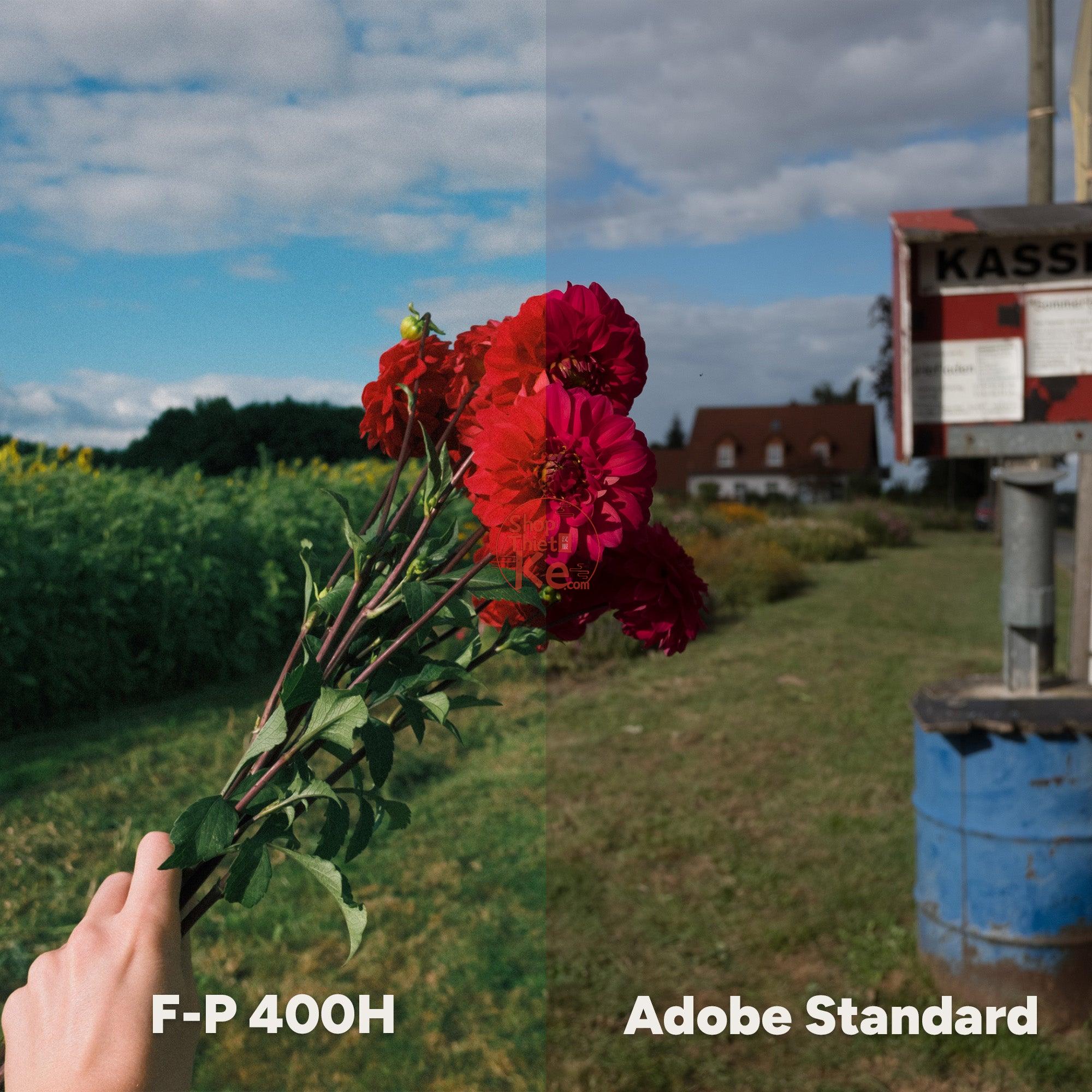 Analog Vision Studio – Bộ Profile Giả Lập Phim Cao Cấp Cho Lightroom & Photoshop (XMP) 5 shopthietke com ANALOG VISION STUDIO 4