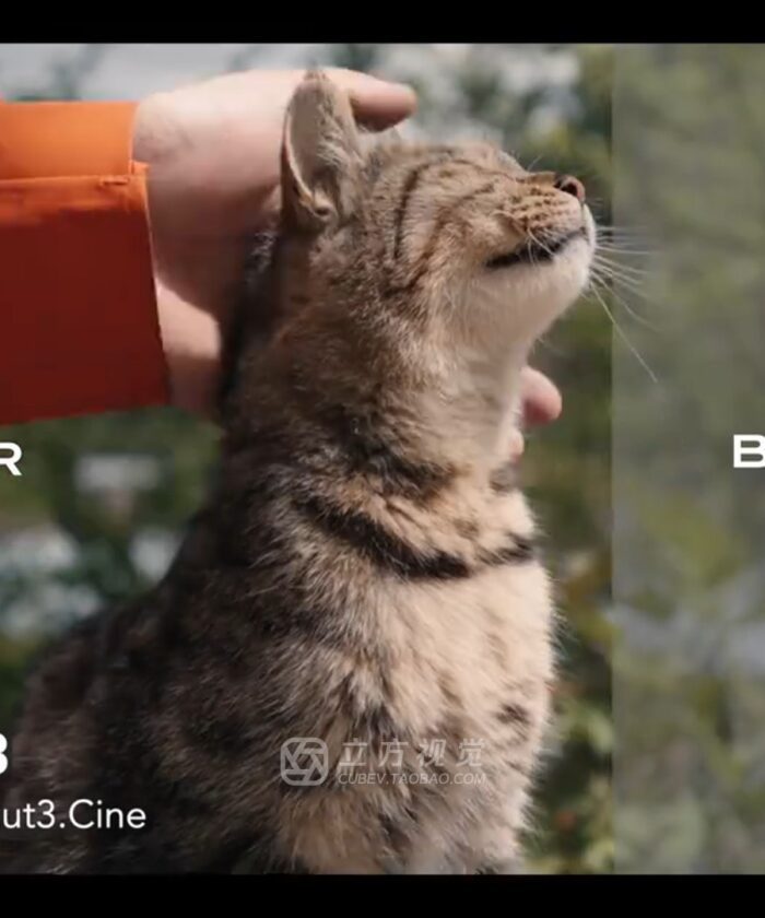 Bộ LUT Sony Sang Kodak 2383/2393 – Giả Lập Màu Phim Điện Ảnh Cổ Điển (CUBE) 17 shopthietke com Shopthietke.com 1