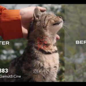 Bộ LUT Sony Sang Kodak 2383/2393 – Giả Lập Màu Phim Điện Ảnh Cổ Điển (CUBE)