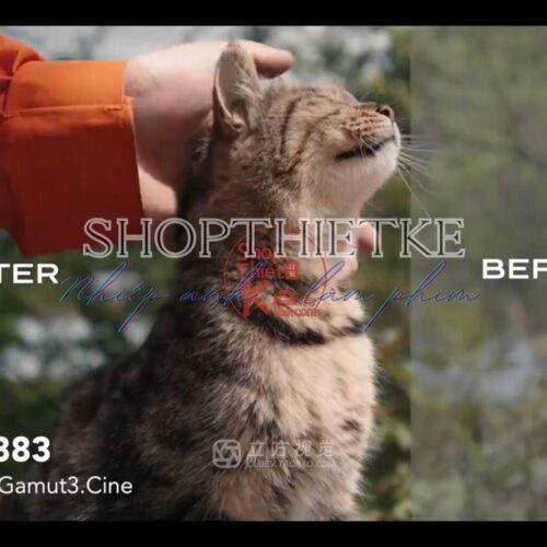 Bộ LUT Sony Sang Kodak 2383/2393 – Giả Lập Màu Phim Điện Ảnh Cổ Điển (CUBE)