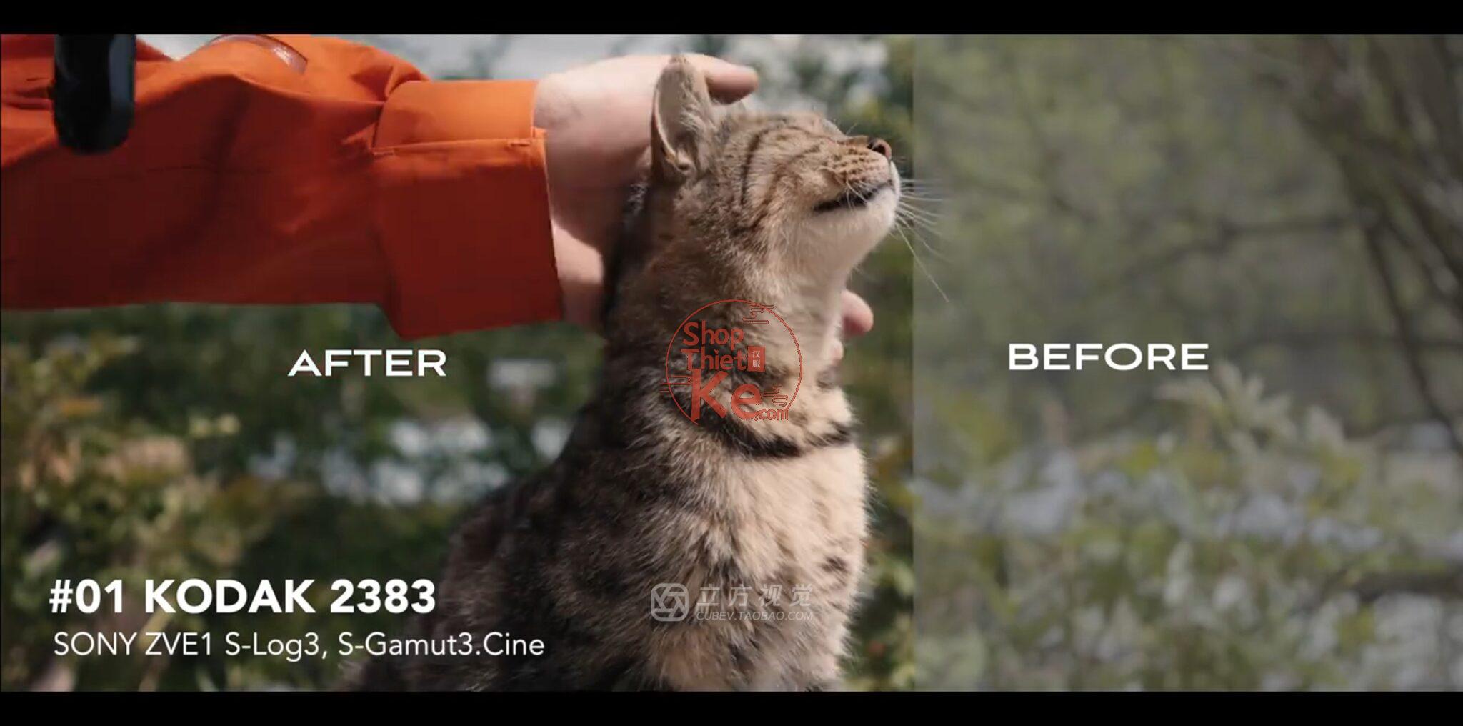 Bộ LUT Sony Sang Kodak 2383/2393 – Giả Lập Màu Phim Điện Ảnh Cổ Điển (CUBE) 4 shopthietke com Shopthietke.com 1 scaled