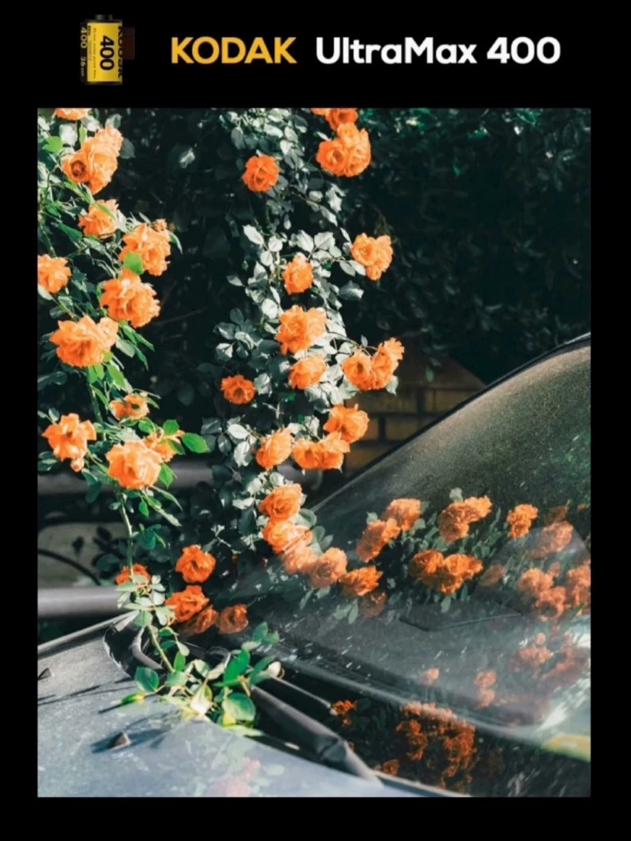 shopthietke com Shopthietke.com 101