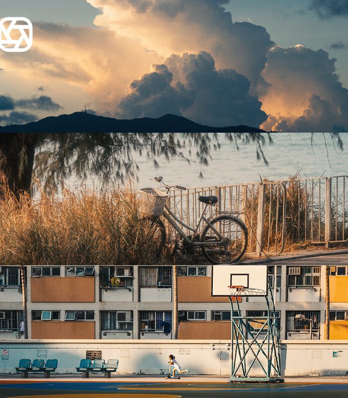 Bộ LUT Sony Sang Kodak 2383/2393 – Giả Lập Màu Phim Điện Ảnh Cổ Điển (CUBE) 28 shopthietke com Shopthietke.com 12