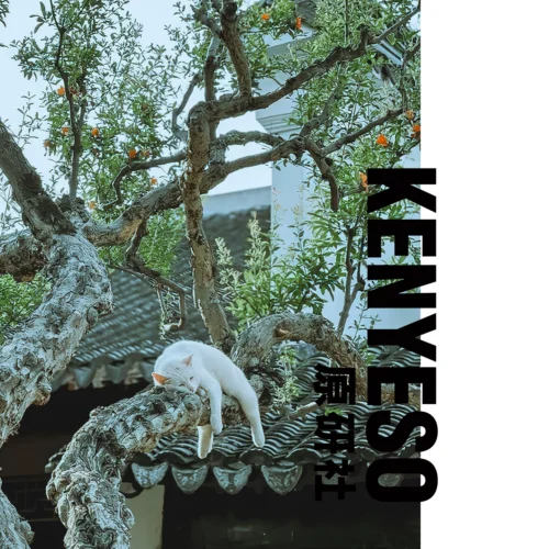 28 Preset Pixel Cake Nhật Bản Nhẹ Nhàng – Tông Thanh Lịch, Film Retro Trong Trẻo (XMP)