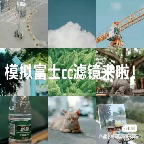 Preset Giả Lập Film – “Thời Quang Như Khắc” | Bản Chính Hãng (XMP/CUBE)