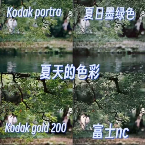 Preset Giả Lập Film – “Thời Quang Như Khắc” | Bản Chính Hãng (XMP/CUBE)