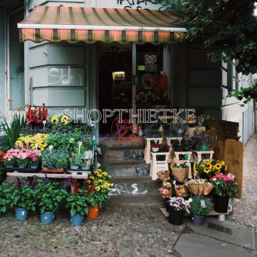 Analog Vision Studio – Bộ Profile Giả Lập Phim Cao Cấp Cho Lightroom & Photoshop (XMP)