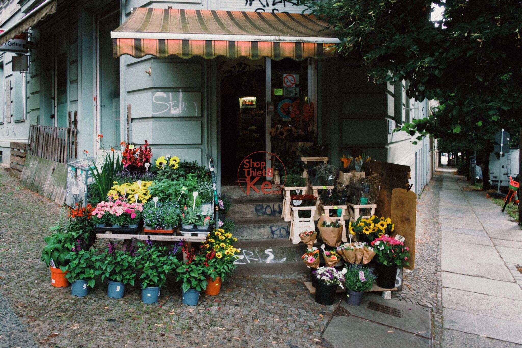 Analog Vision Studio – Bộ Profile Giả Lập Phim Cao Cấp Cho Lightroom & Photoshop (XMP) 10 shopthietke com Shopthietke.com 150 scaled