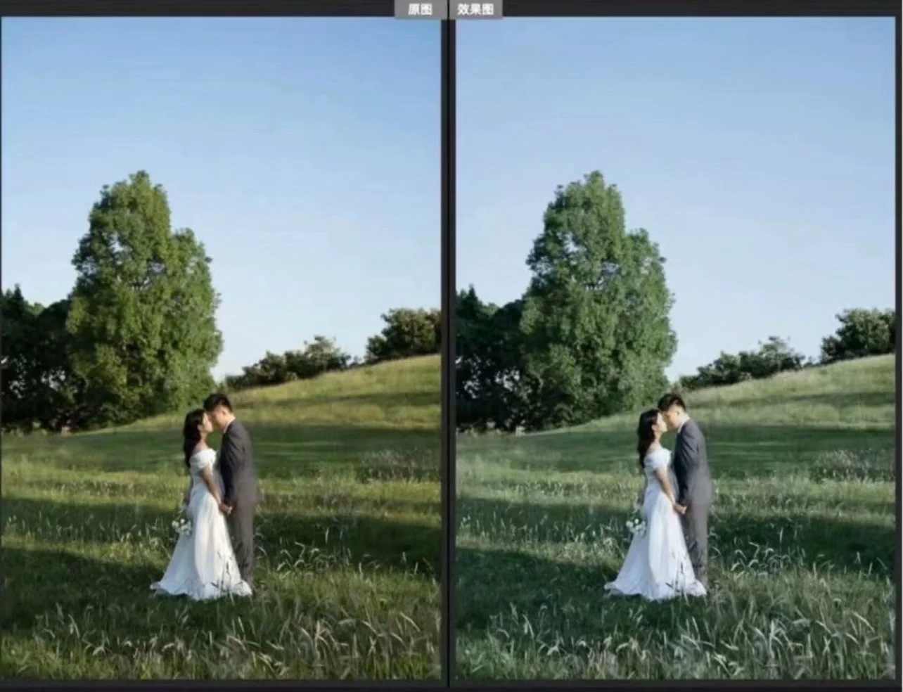 Preset Đám Cưới Vạn Năng – Bộ Lọc Màu Cưới Cao Cấp Cho Lightroom/Photoshop (XMP/CUBE) 38 shopthietke com Shopthietke.com 165