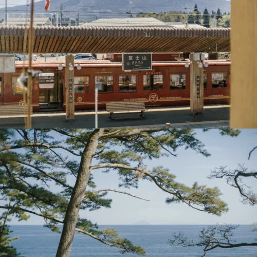 Trải Nghiệm Chất Lượng Ảnh Phim Chuyên Nghiệp Với Bộ Preset Film Look 2026 (XMP)