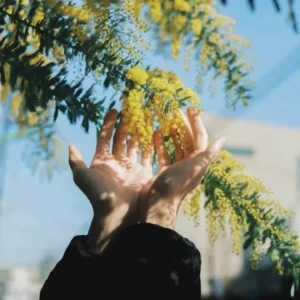 Trải Nghiệm Chất Lượng Ảnh Phim Chuyên Nghiệp Với Bộ Preset Film Look 2026 (XMP) 16 shopthietke com Shopthietke.com 178