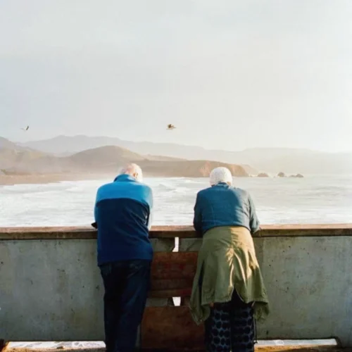 Trải Nghiệm Chất Lượng Ảnh Phim Chuyên Nghiệp Với Bộ Preset Film Look 2026 (XMP)