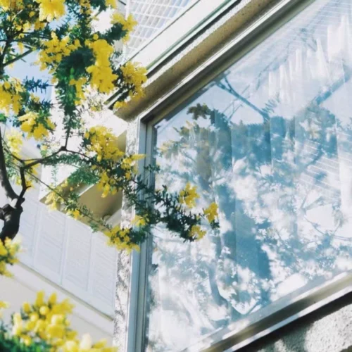 Trải Nghiệm Chất Lượng Ảnh Phim Chuyên Nghiệp Với Bộ Preset Film Look 2026 (XMP)