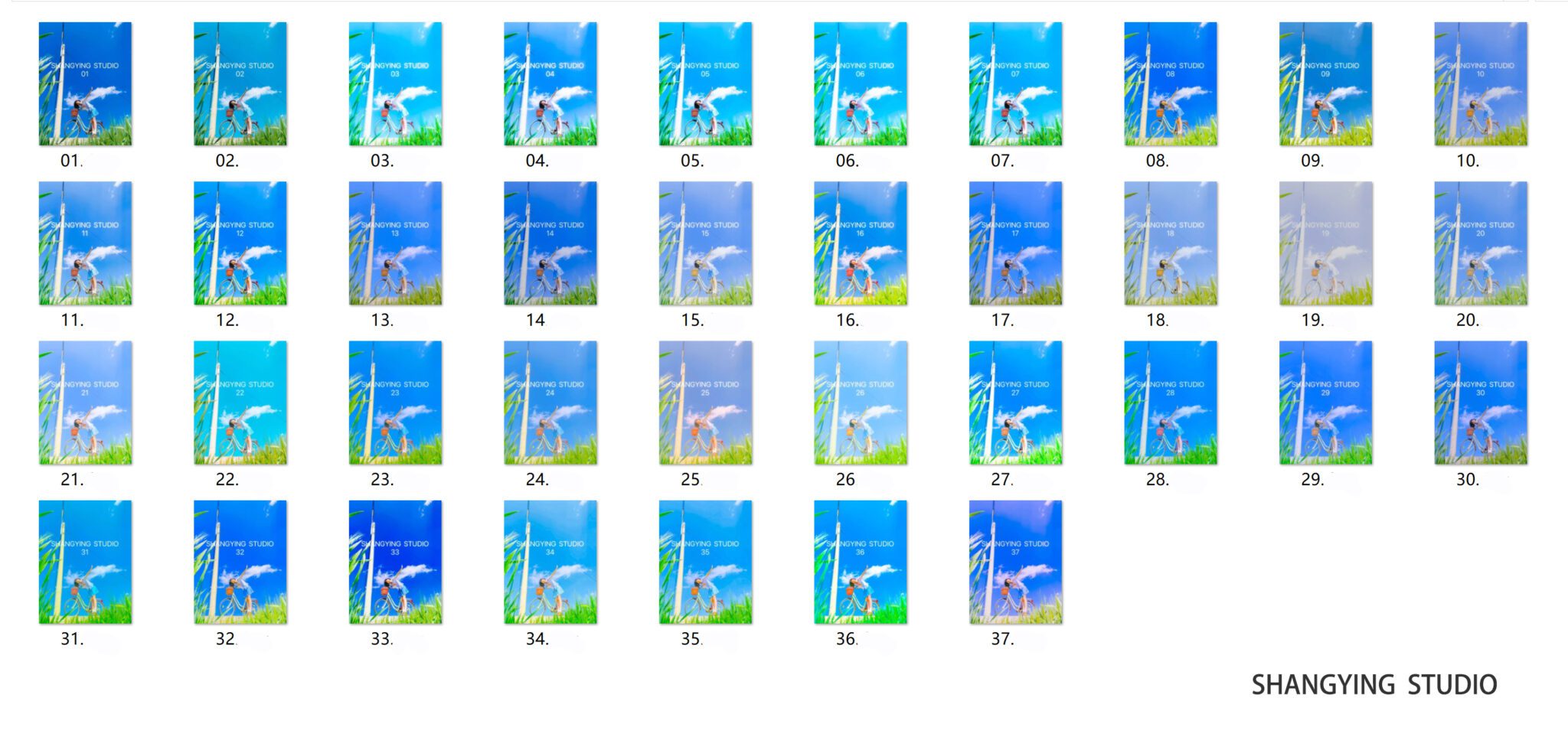 shopthietke com Shopthietke.com 181 scaled