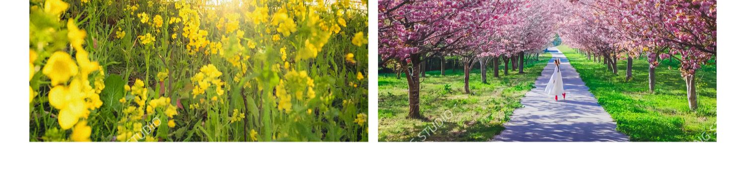 shopthietke com Shopthietke.com 187