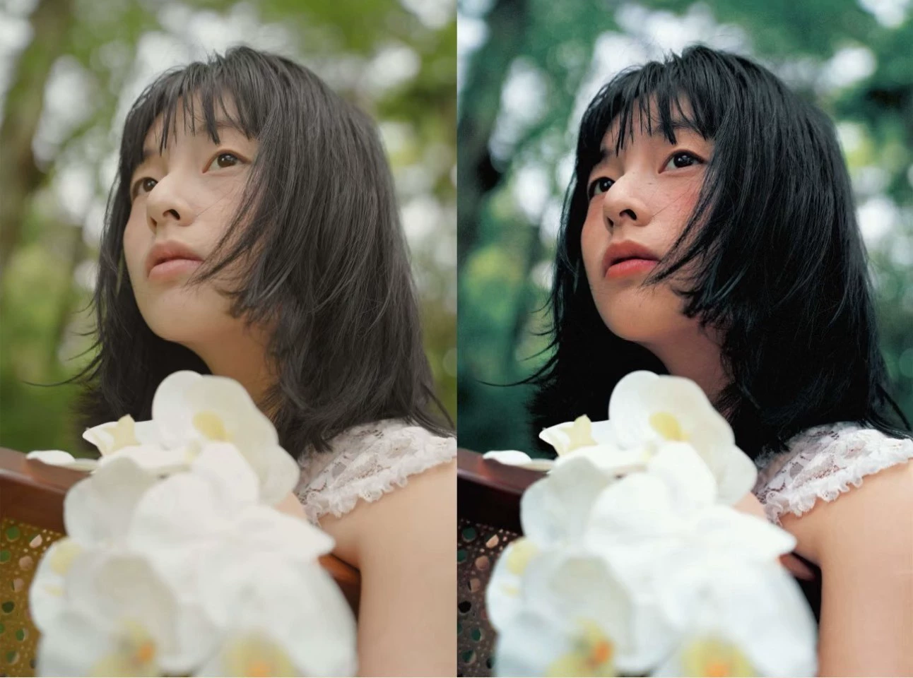 shopthietke com Shopthietke.com 187