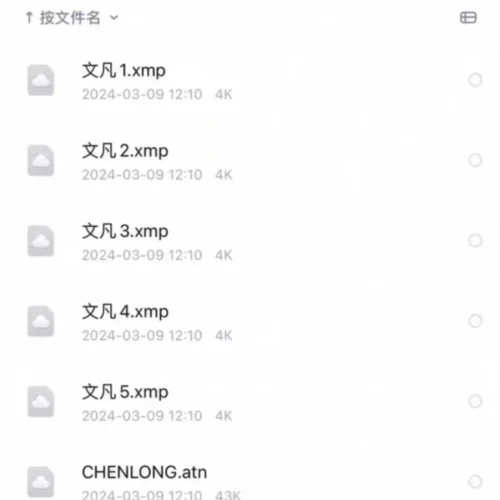 Bộ Preset Và Action Lightroom 2025 Văn Phàm – Màu Ảnh Cưới Điện Ảnh Tự Nhiên (XMP)