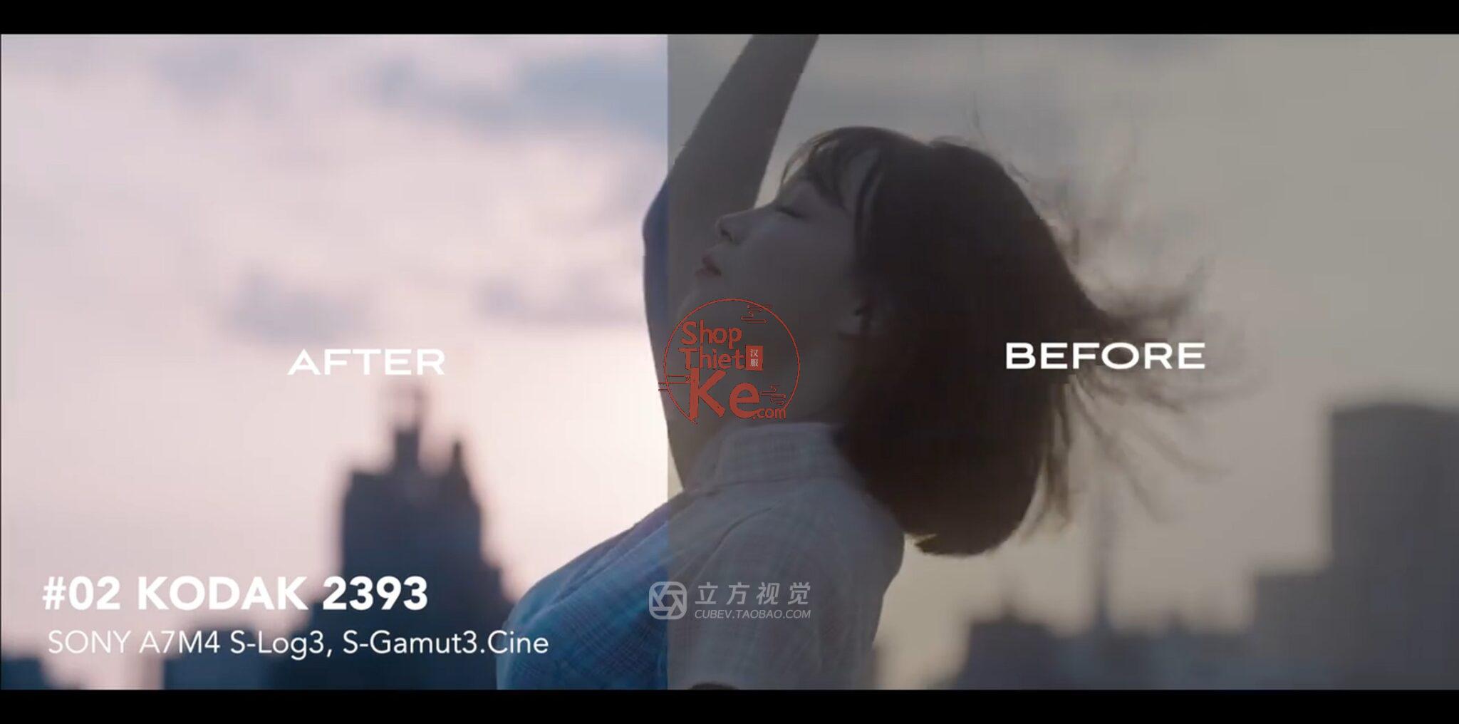 Bộ LUT Sony Sang Kodak 2383/2393 – Giả Lập Màu Phim Điện Ảnh Cổ Điển (CUBE) 5 shopthietke com Shopthietke.com 2 scaled
