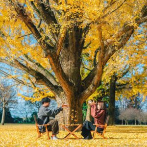 09 Preset Tự Nhiên Matte Nhật Bản | Nhẹ Nhàng – Trong Trẻo – Nghệ Thuật (XMP/DNG/CUBE)