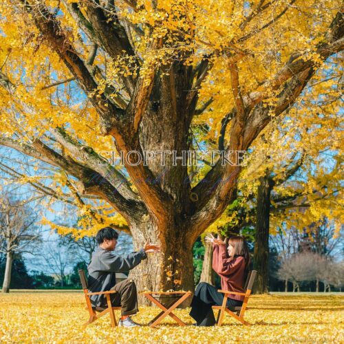 09 Preset Tự Nhiên Matte Nhật Bản | Nhẹ Nhàng – Trong Trẻo – Nghệ Thuật (XMP/DNG/CUBE)