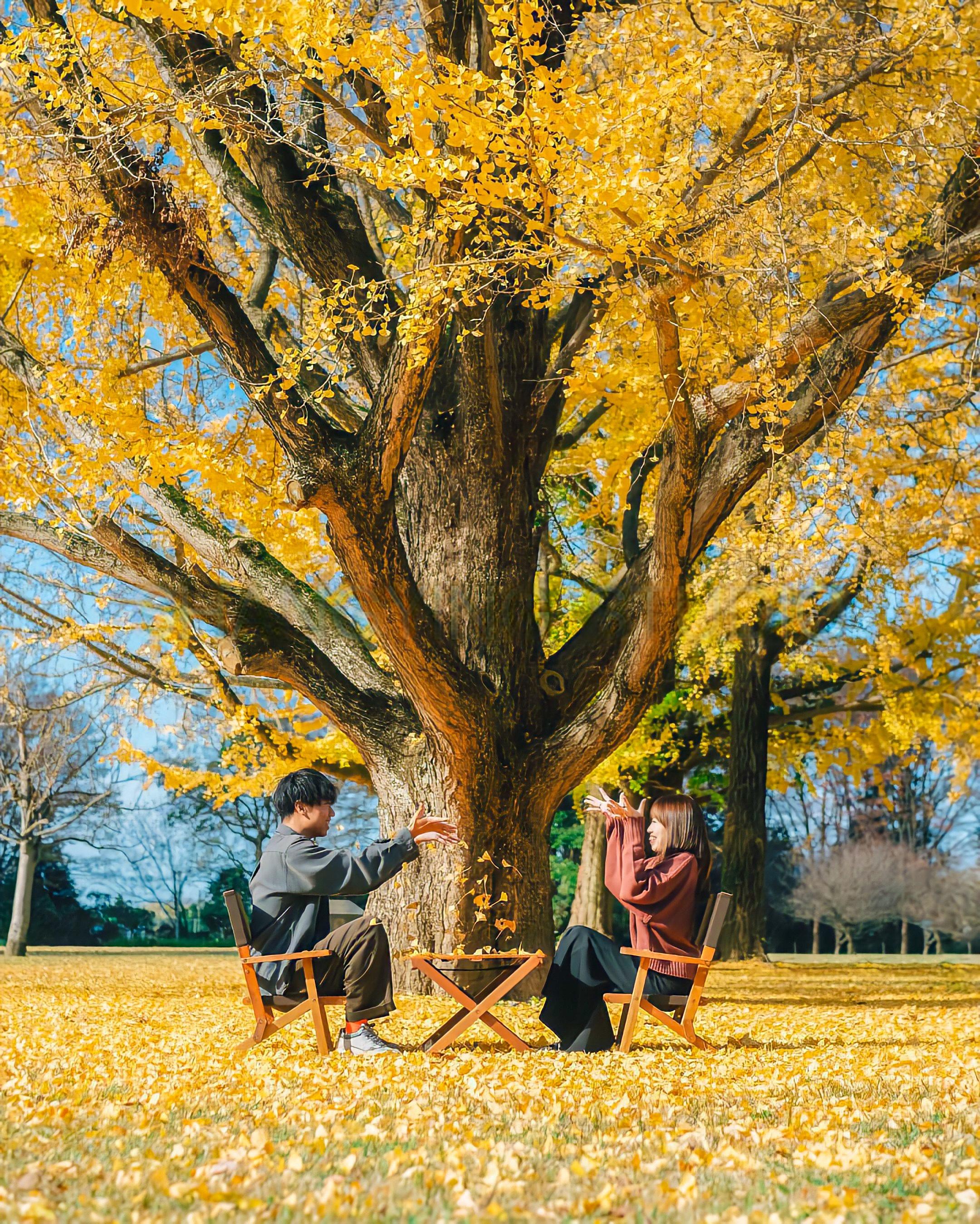 shopthietke com Shopthietke.com 201