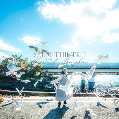 09 Preset Tự Nhiên Matte Nhật Bản | Nhẹ Nhàng – Trong Trẻo – Nghệ Thuật (XMP/DNG/CUBE)