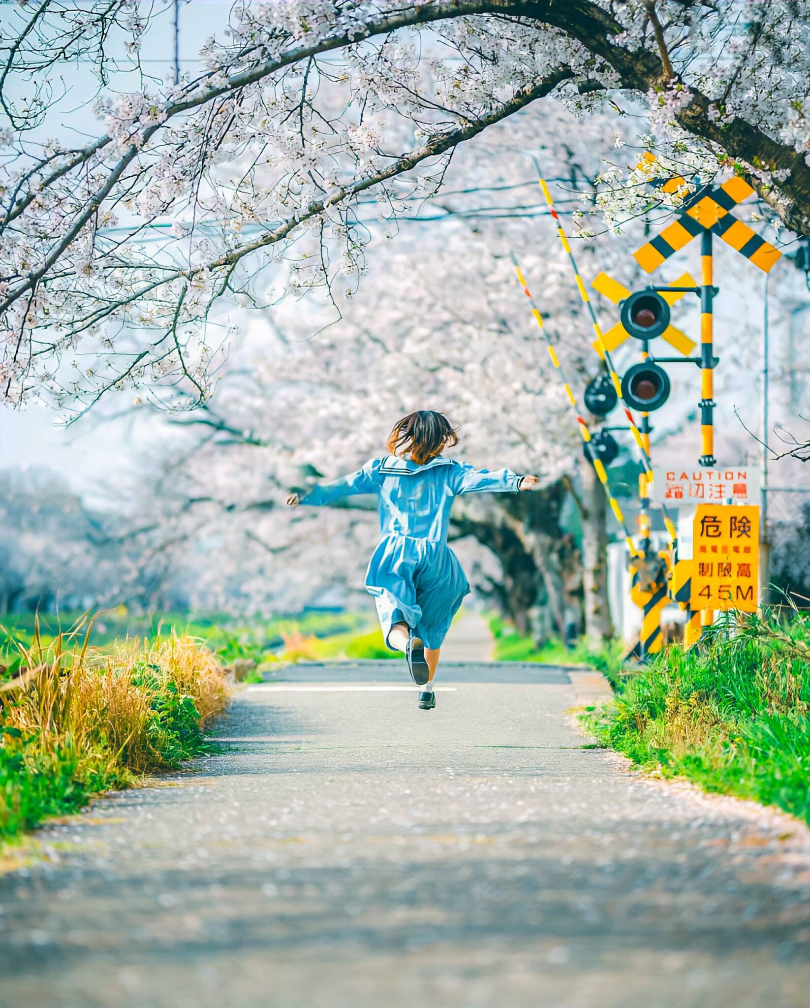 09 Preset Tự Nhiên Matte Nhật Bản | Nhẹ Nhàng – Trong Trẻo – Nghệ Thuật (XMP/DNG/CUBE) 11 shopthietke com Shopthietke.com 204 scaled