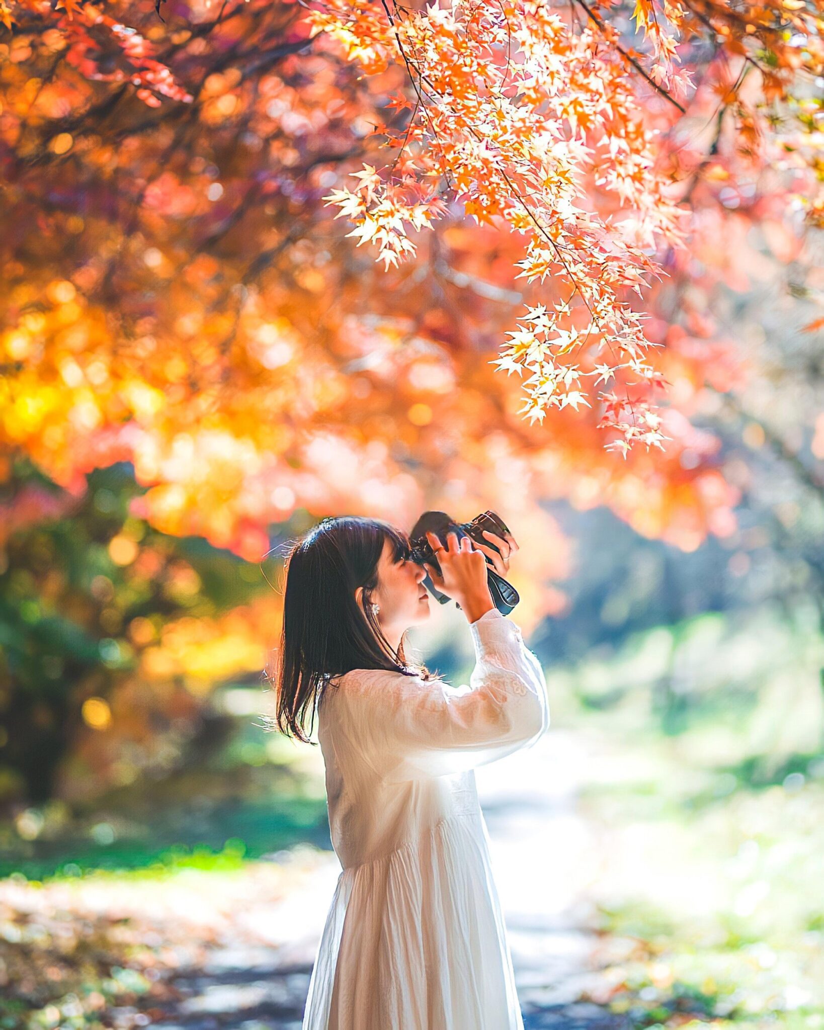 09 Preset Tự Nhiên Matte Nhật Bản | Nhẹ Nhàng – Trong Trẻo – Nghệ Thuật (XMP/DNG/CUBE) 9 shopthietke com Shopthietke.com 206 scaled