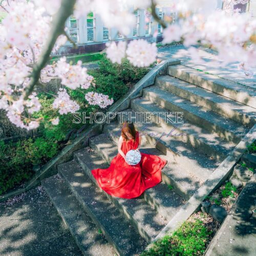 09 Preset Tự Nhiên Matte Nhật Bản | Nhẹ Nhàng – Trong Trẻo – Nghệ Thuật (XMP/DNG/CUBE)