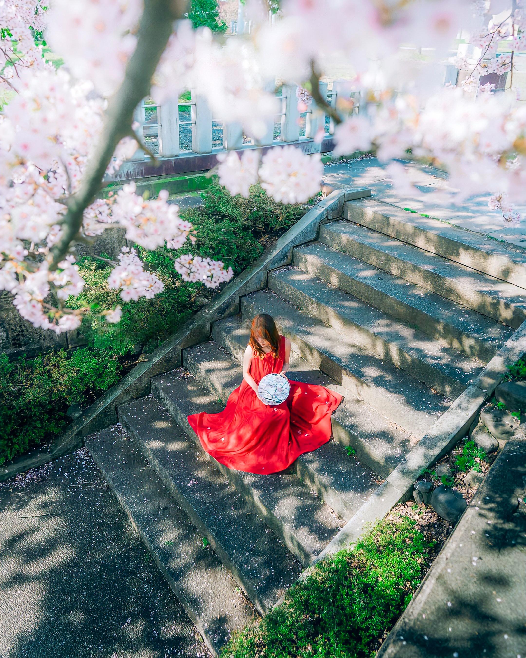 shopthietke com Shopthietke.com 207