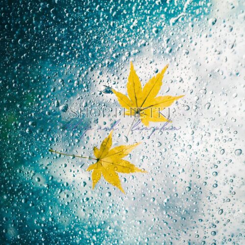 09 Preset Tự Nhiên Matte Nhật Bản | Nhẹ Nhàng – Trong Trẻo – Nghệ Thuật (XMP/DNG/CUBE)