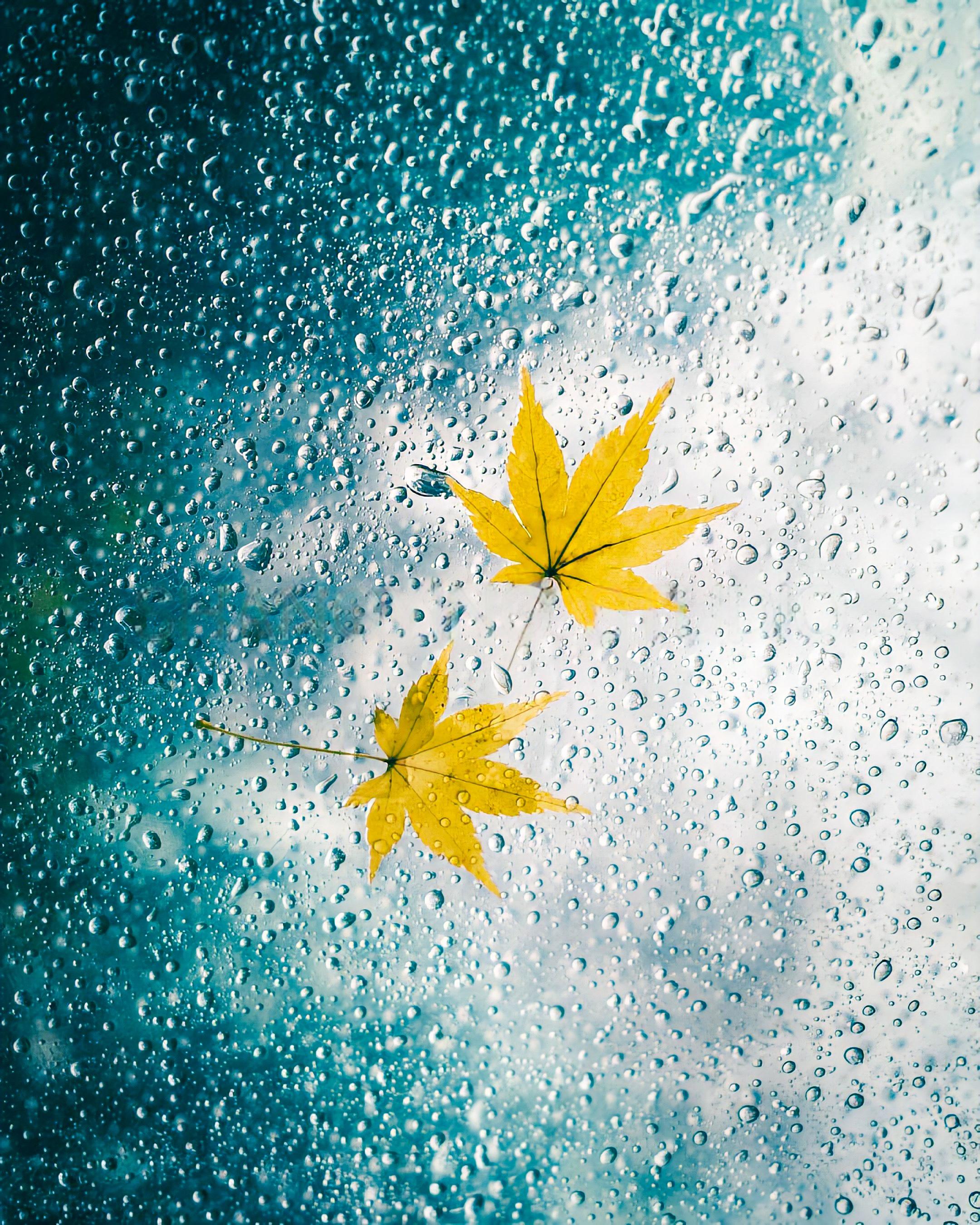 shopthietke com Shopthietke.com 208