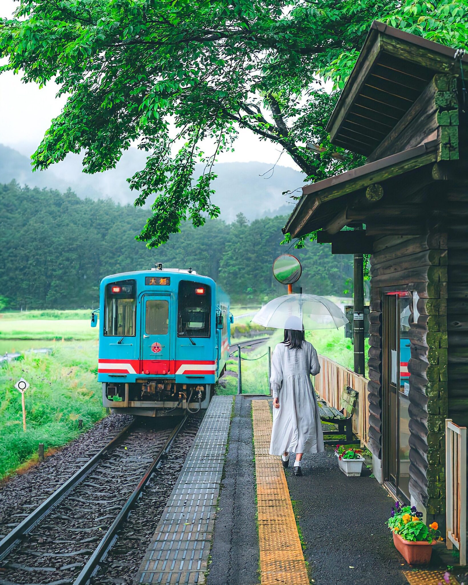 09 Preset Tự Nhiên Matte Nhật Bản | Nhẹ Nhàng – Trong Trẻo – Nghệ Thuật (XMP/DNG/CUBE) 6 shopthietke com Shopthietke.com 209 scaled