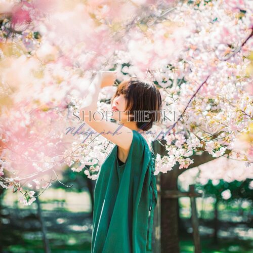 09 Preset Tự Nhiên Matte Nhật Bản | Nhẹ Nhàng – Trong Trẻo – Nghệ Thuật (XMP/DNG/CUBE)