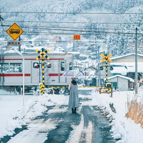 09 Preset Tự Nhiên Matte Nhật Bản | Nhẹ Nhàng – Trong Trẻo – Nghệ Thuật (XMP/DNG/CUBE)