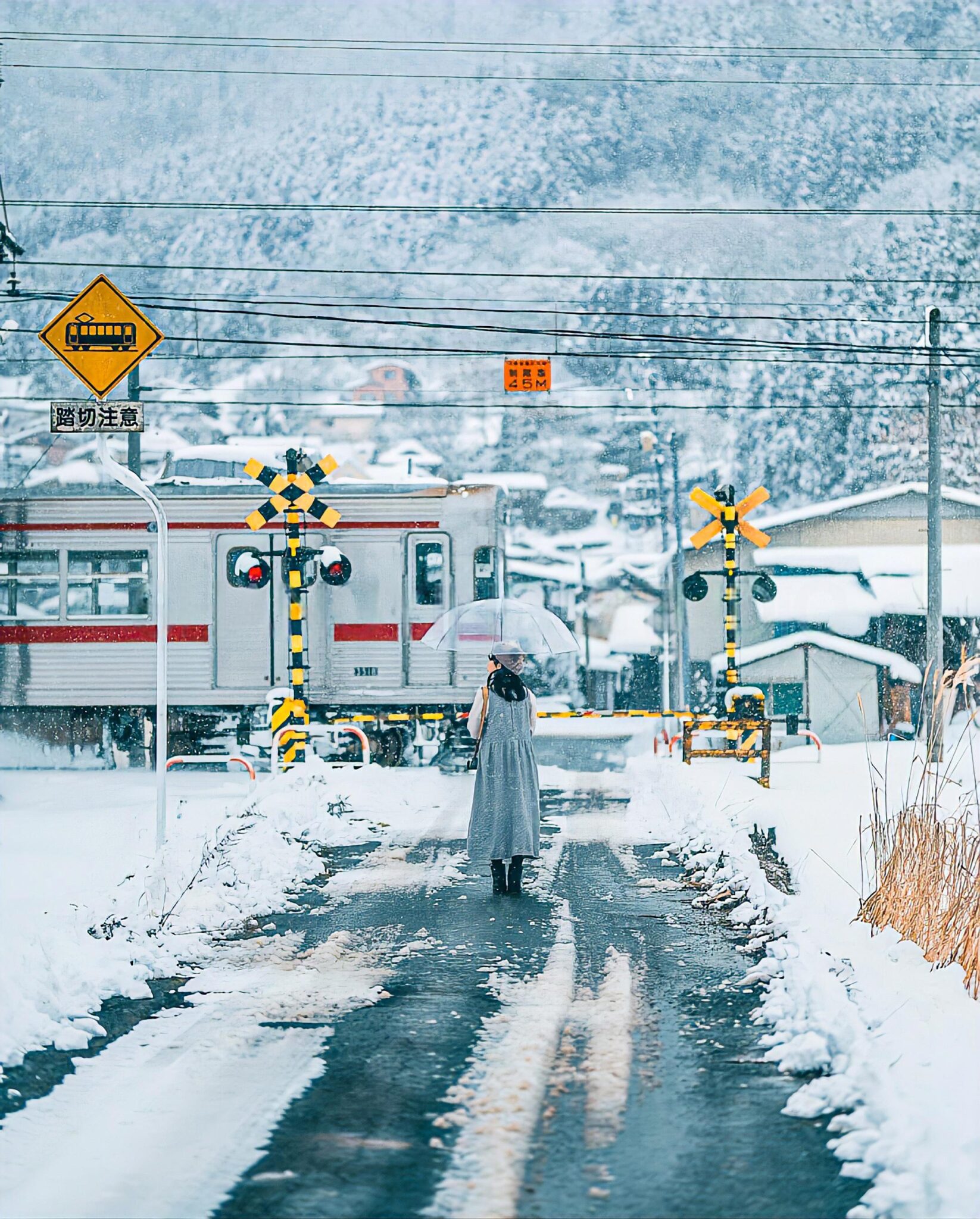 09 Preset Tự Nhiên Matte Nhật Bản | Nhẹ Nhàng – Trong Trẻo – Nghệ Thuật (XMP/DNG/CUBE) 4 shopthietke com Shopthietke.com 211 scaled