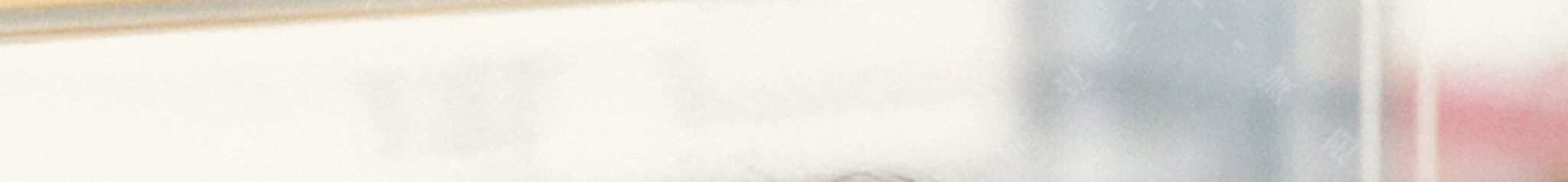 shopthietke com Shopthietke.com 233 scaled